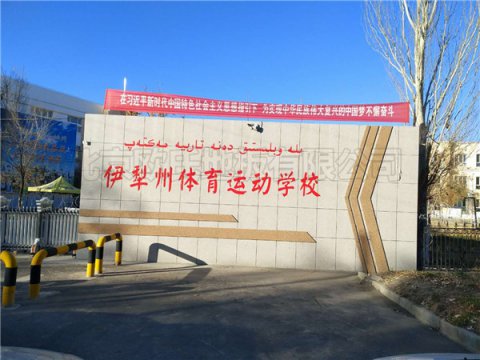 新疆伊犁體?；@球館運(yùn)動(dòng)地板案例